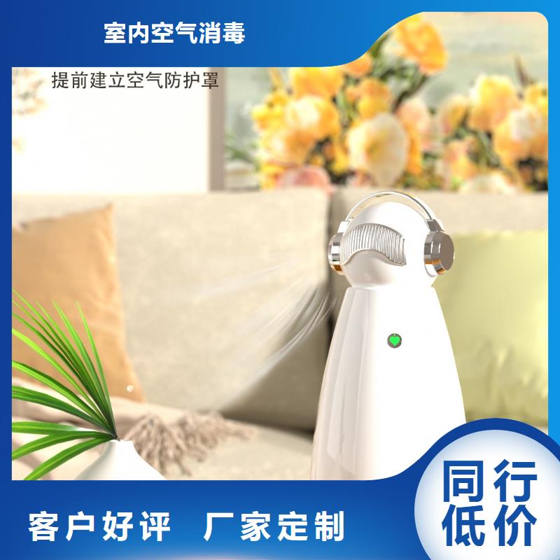 空氣凈化器小白祛味王供應現(xiàn)貨銷售