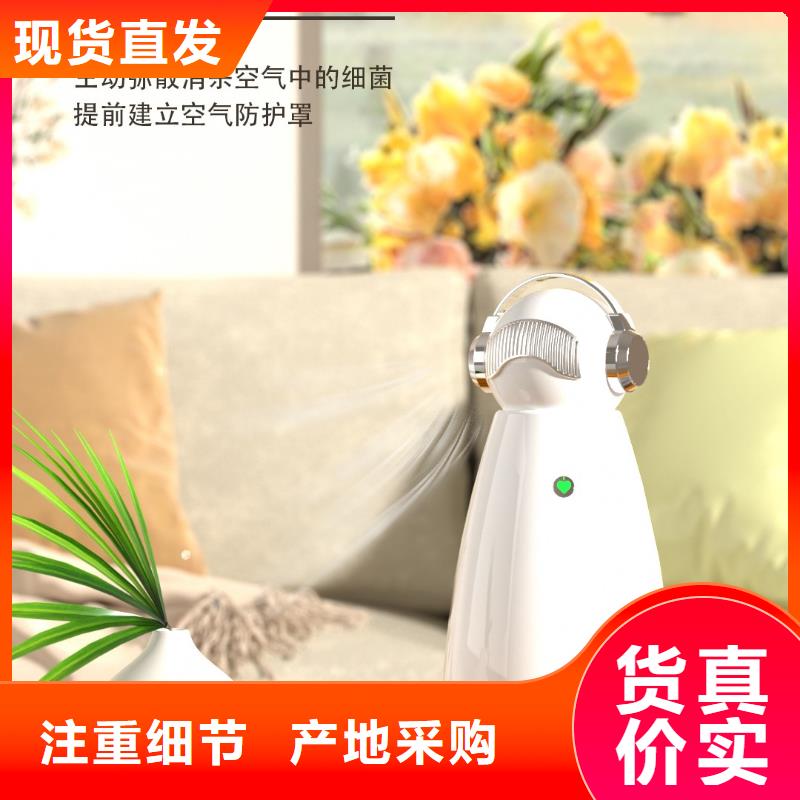 空氣凈化器小白祛味王供應(yīng)現(xiàn)貨銷售