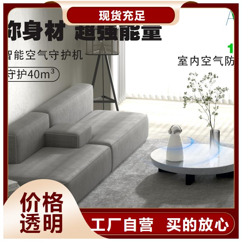 空氣凈化器小白祛味王供應現(xiàn)貨銷售