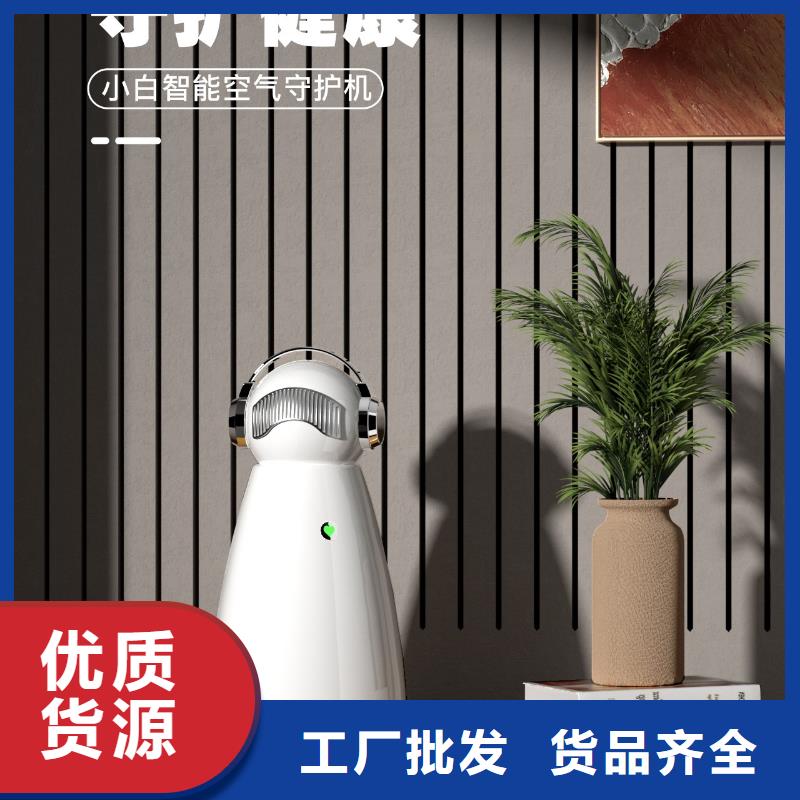 小白祛味王,【车载空气净化器销售】品质可靠
