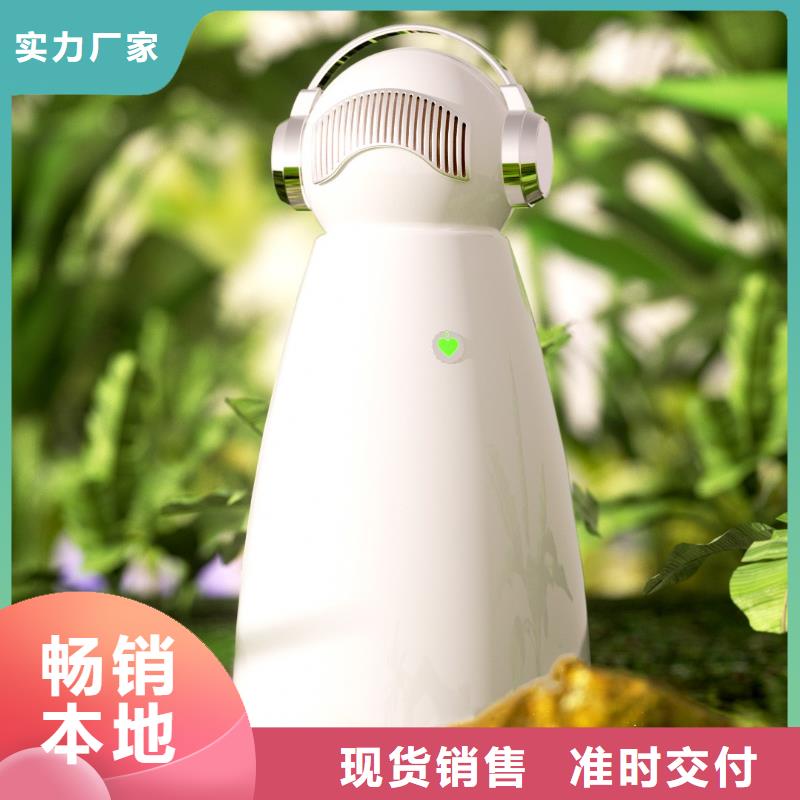 供应空气消毒机视频-供应空气消毒机|马鞍山市|博望|和县|池州|铜陵|亳州|巢湖|淮南