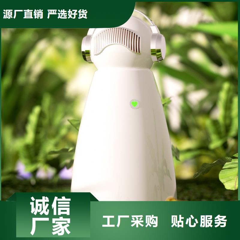 小白祛味王_销售智能空气净化器厂诚信经营