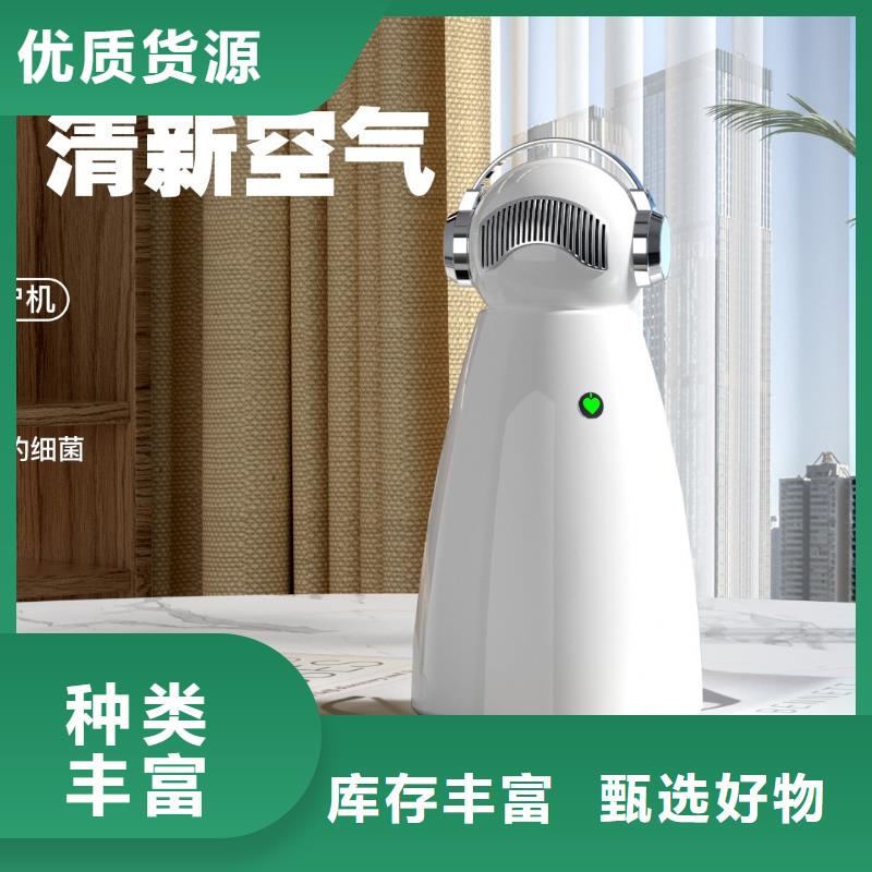 小白祛味王空氣消毒機供應批發(fā)商