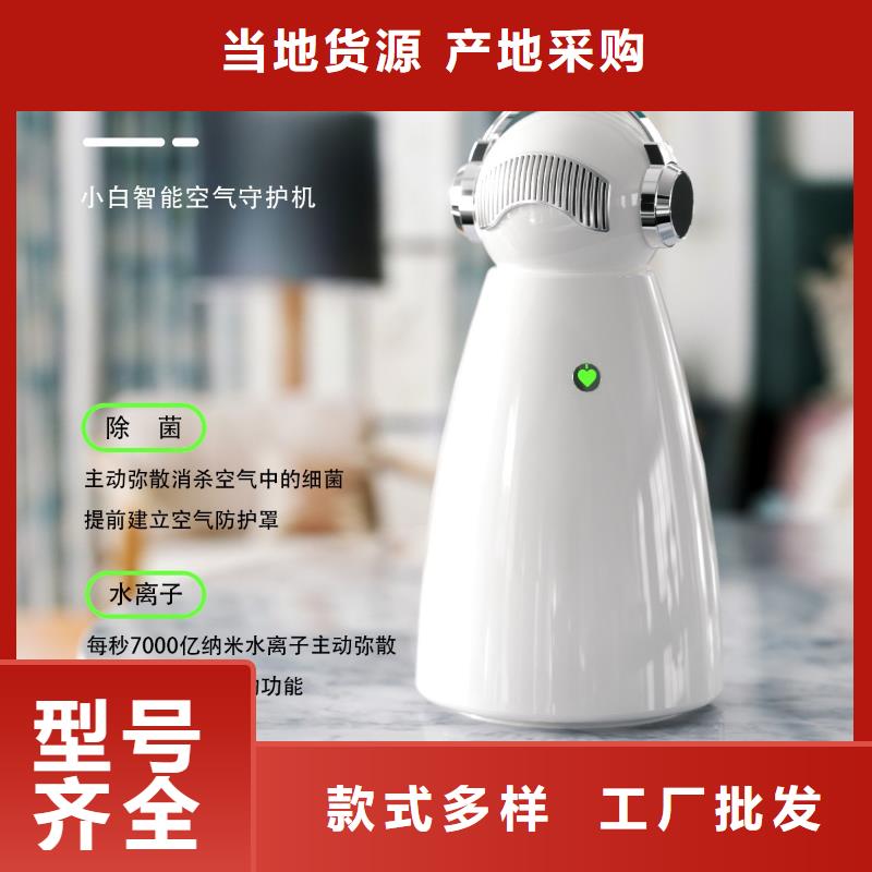 小白祛味王-空氣消毒機銷售公司規(guī)格齊全實力廠家