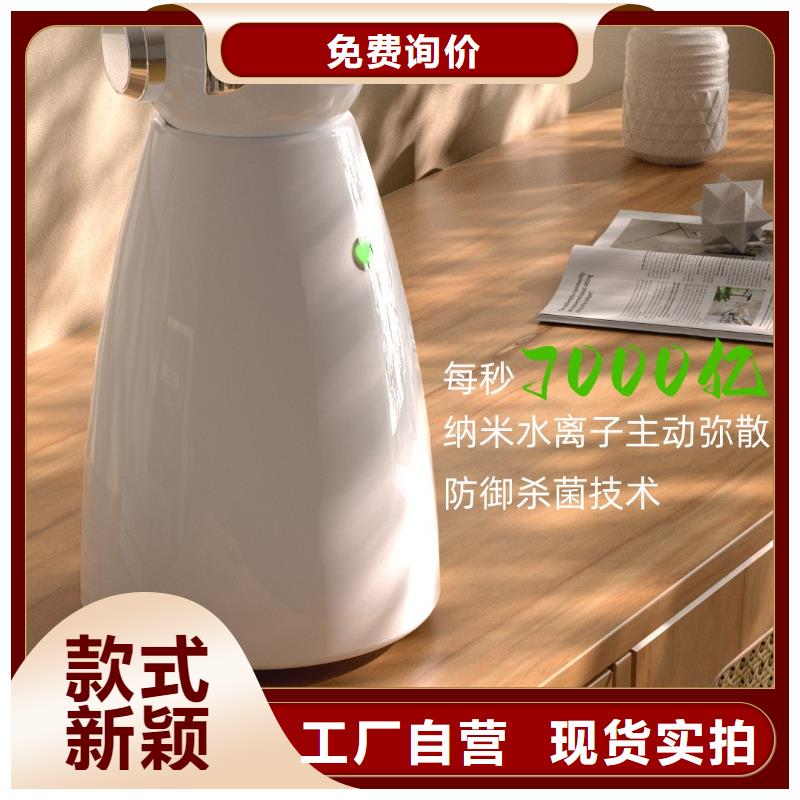 小白祛味王小白祛味王現(xiàn)貨批發(fā)多種規(guī)格供您選擇
