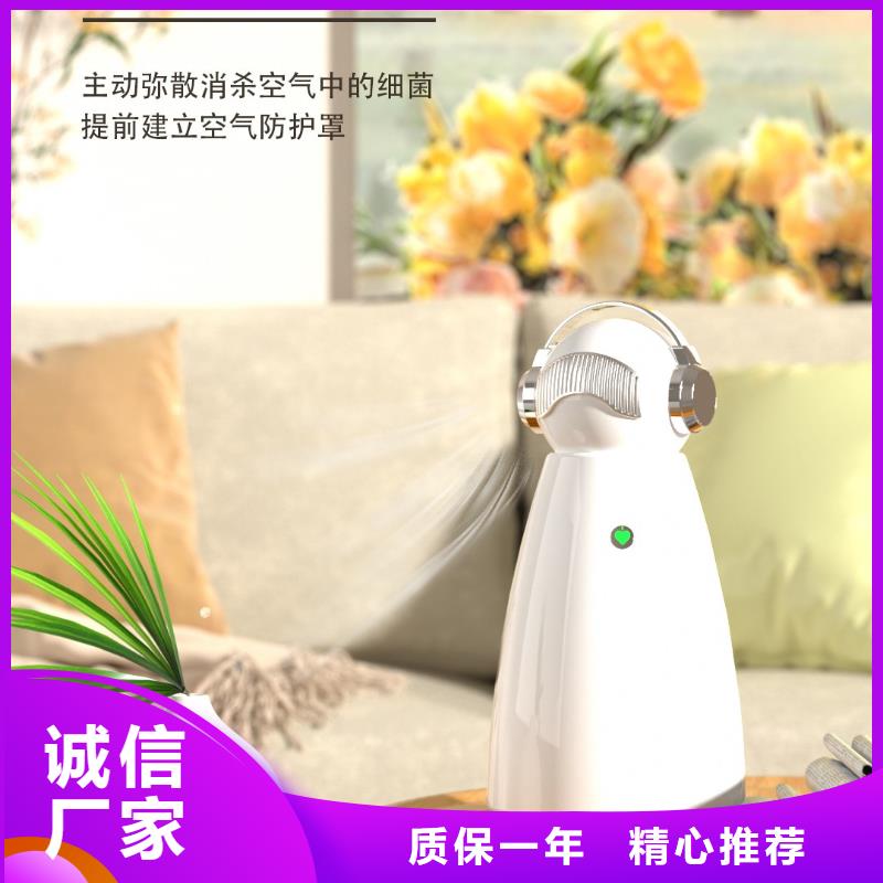 小白祛味王空氣消毒機供應批發(fā)商