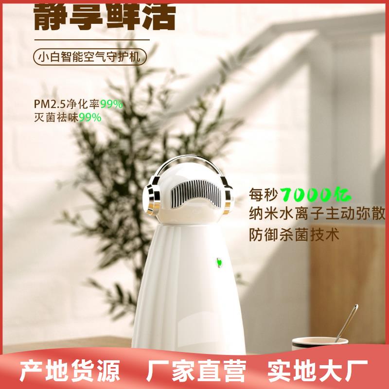艾森智控-【车载空气净化器】厂家定制