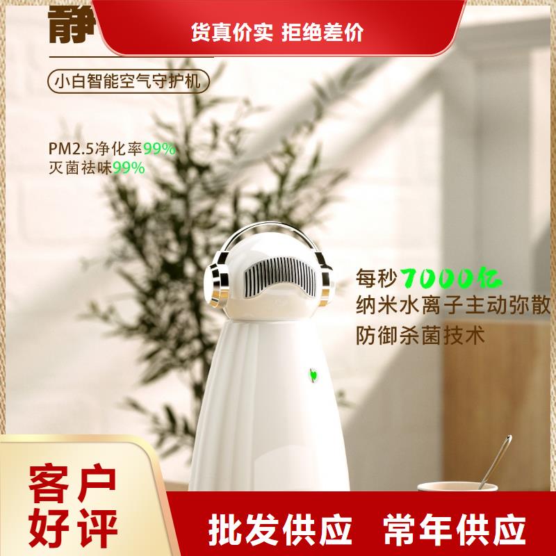 艾森智控_車載空氣凈化器銷售保質(zhì)保量