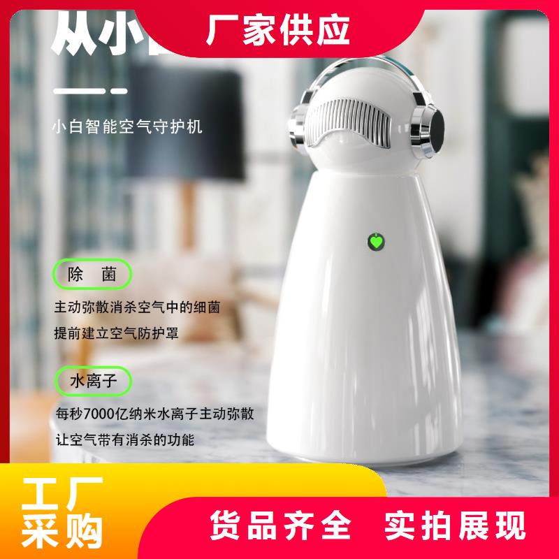 艾森智控_車載空氣凈化器銷售保質(zhì)保量