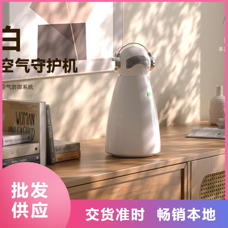 艾森智控_車載空氣凈化器銷售保質(zhì)保量