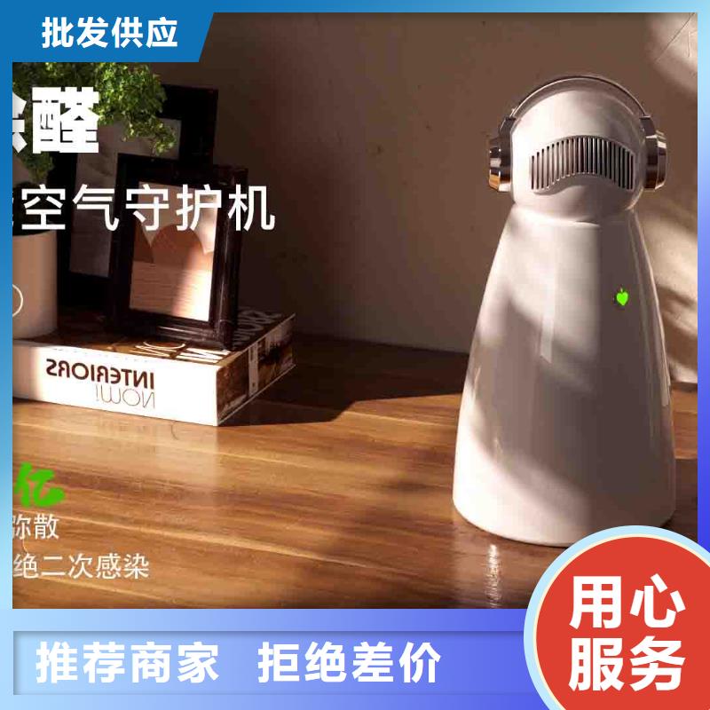 小白孕妇空气守护机【车载空气净化器生产厂家】专业生产厂家
