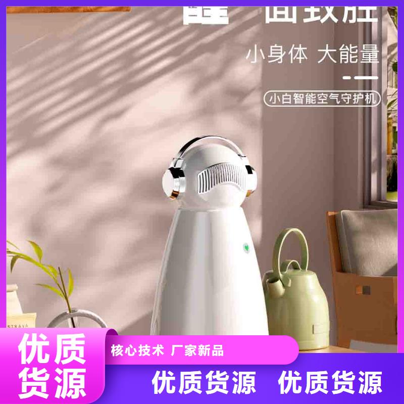 小白孕妇空气守护机智能空气净化器选择我们选择放心