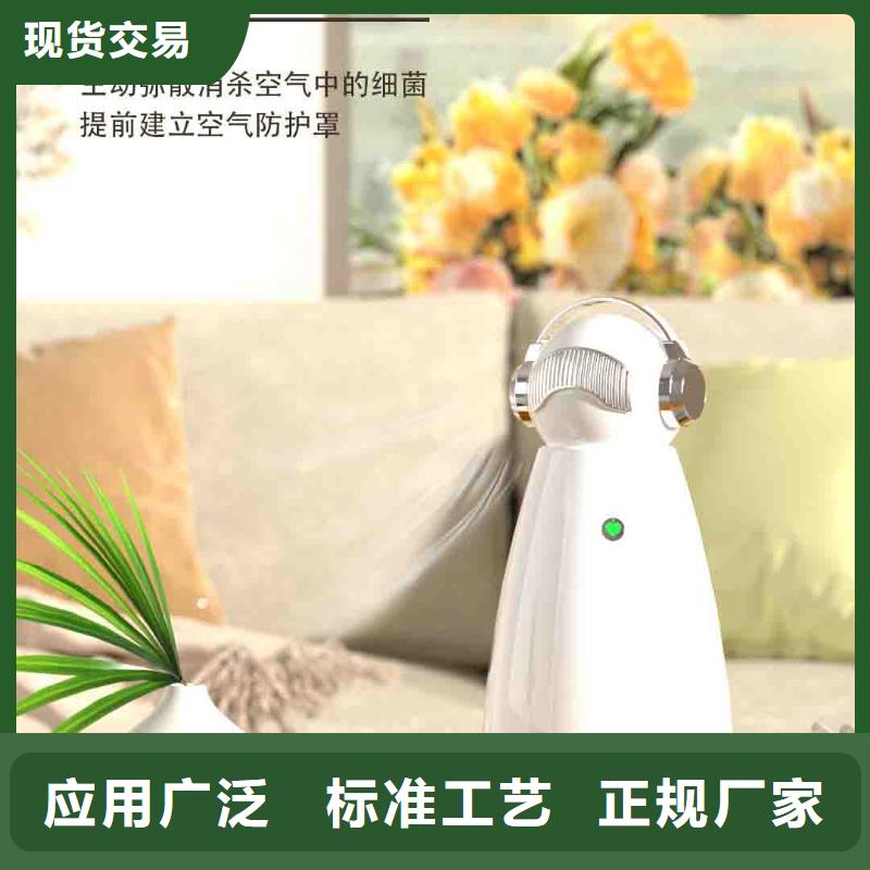 小白孕婦空氣守護(hù)機(jī)車載空氣凈化器銷售熱線專業(yè)生產(chǎn)設(shè)備