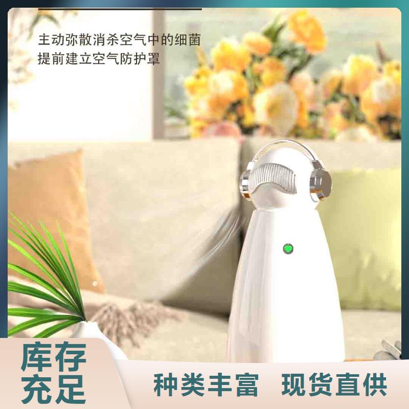 小白孕妇空气守护机小白祛味王价格选择我们没错