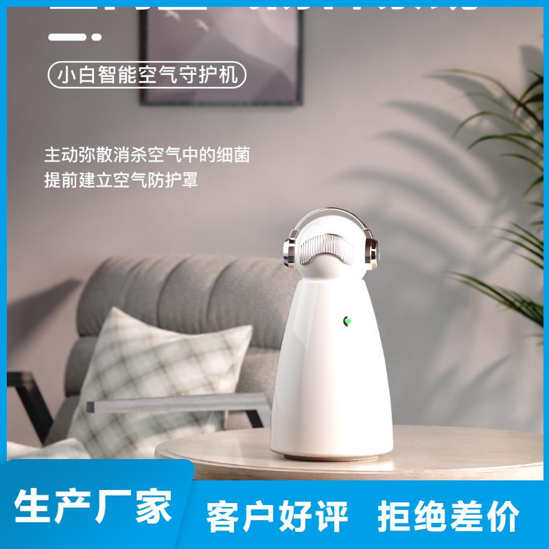 小白孕婦空氣守護(hù)機(jī)車載空氣凈化器銷售熱線專業(yè)生產(chǎn)設(shè)備