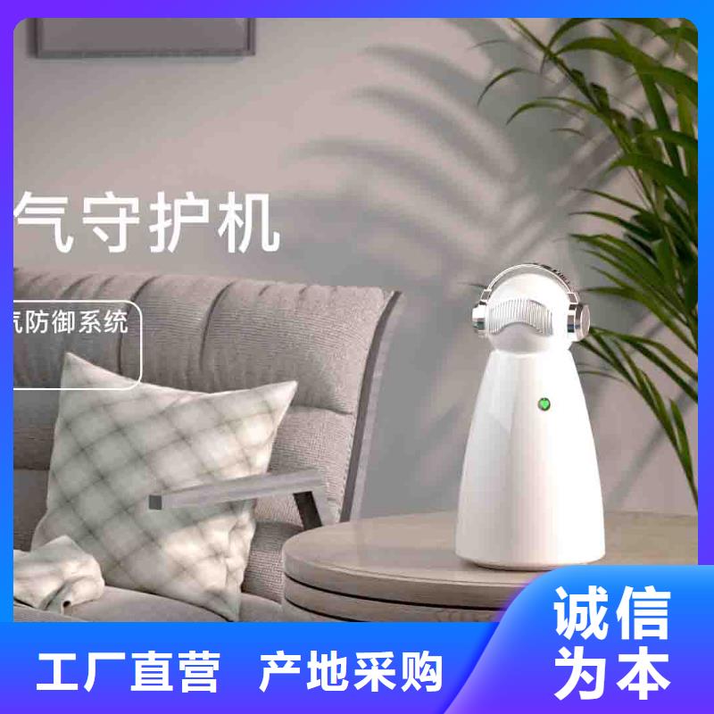 小白嬰兒空氣守護(hù)機(jī)車載空氣凈化器廠家用好材做好產(chǎn)品
