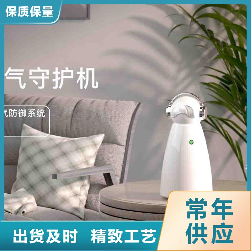 小白嬰兒空氣守護(hù)機(jī)車載空氣凈化器廠定制定做