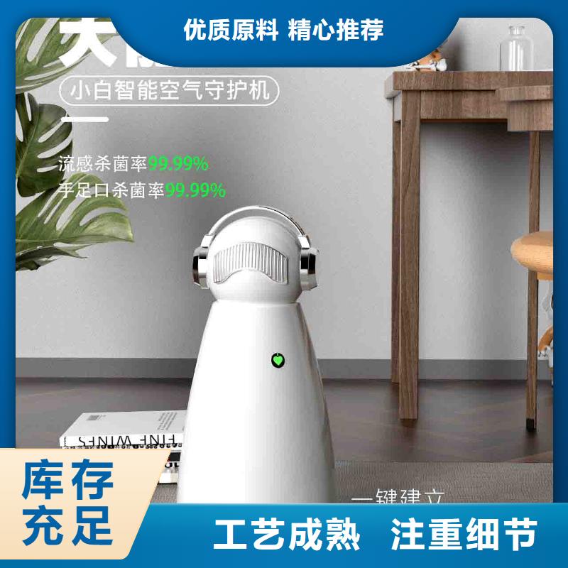 小白空气守护机_车载空气净化器销售热线实力才是硬道理