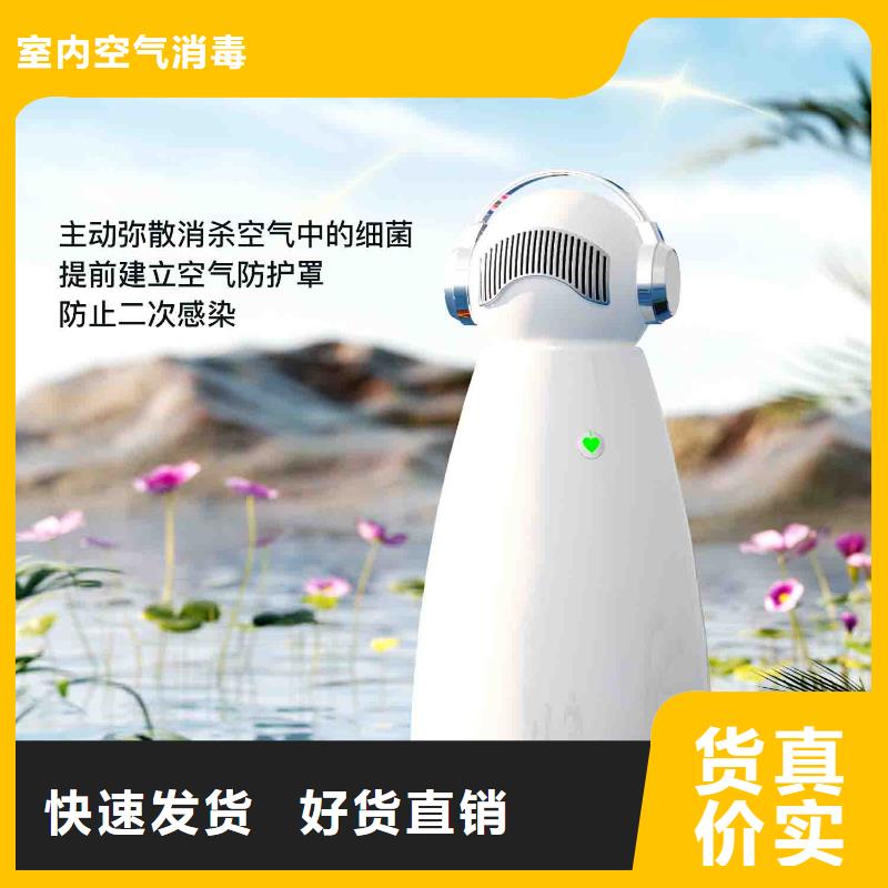 小白空气守护机_【小白空气守护机】一件也发货