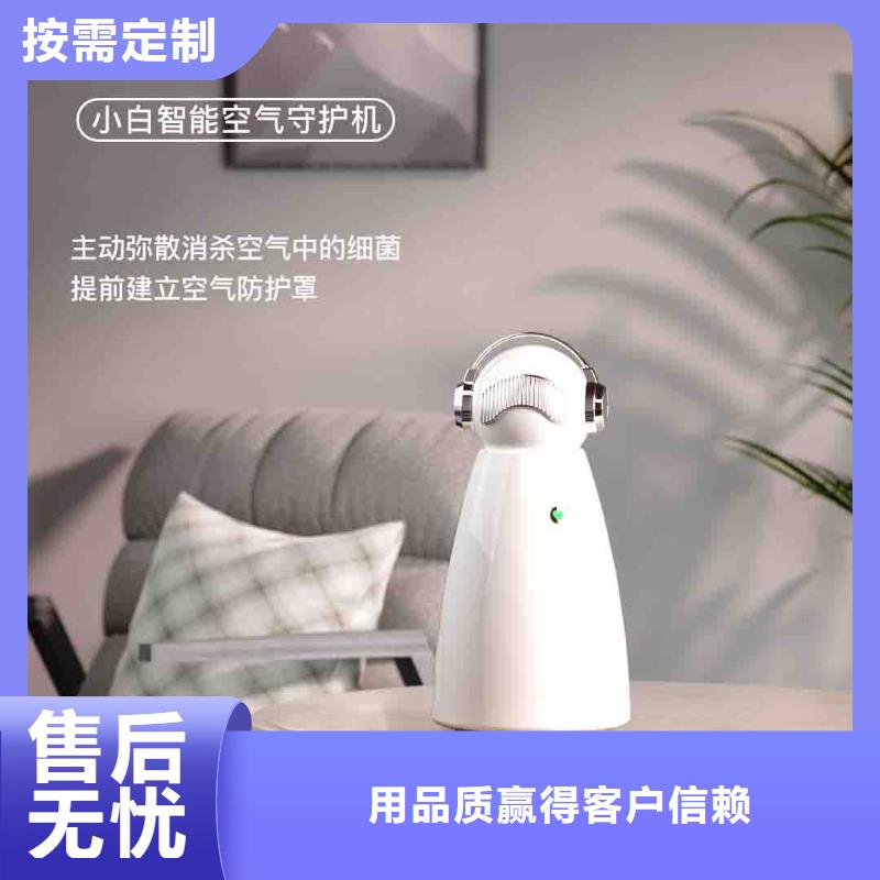 小白空氣守護機_車載空氣凈化器銷售熱線實力才是硬道理