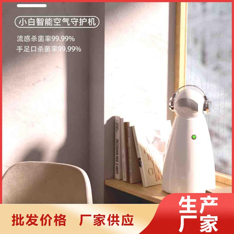 小白空气守护机_车载空气净化器销售热线实力才是硬道理