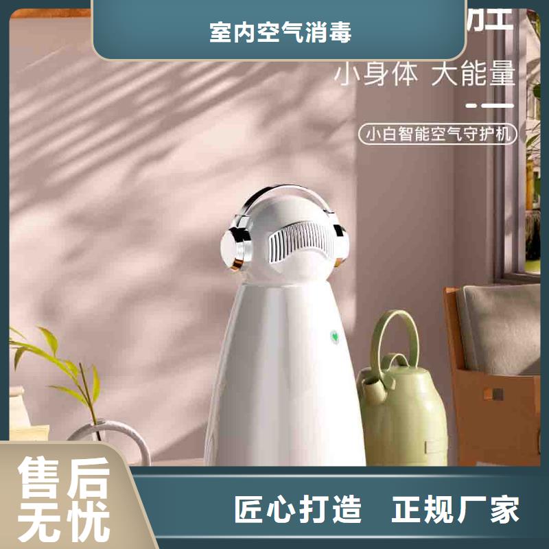 小白空气守护机,批发小白空气守护机器人实力公司