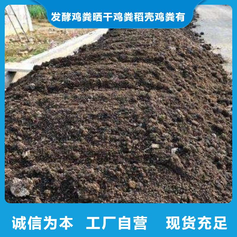 發(fā)酵雞糞能當(dāng)果樹肥料
