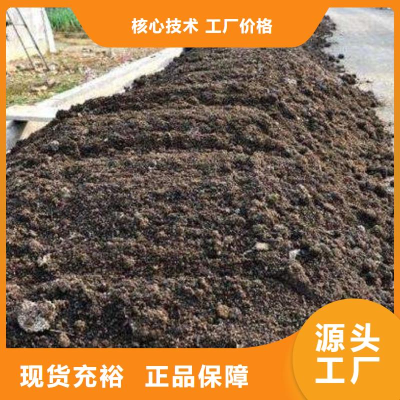 干雞糞香滿路