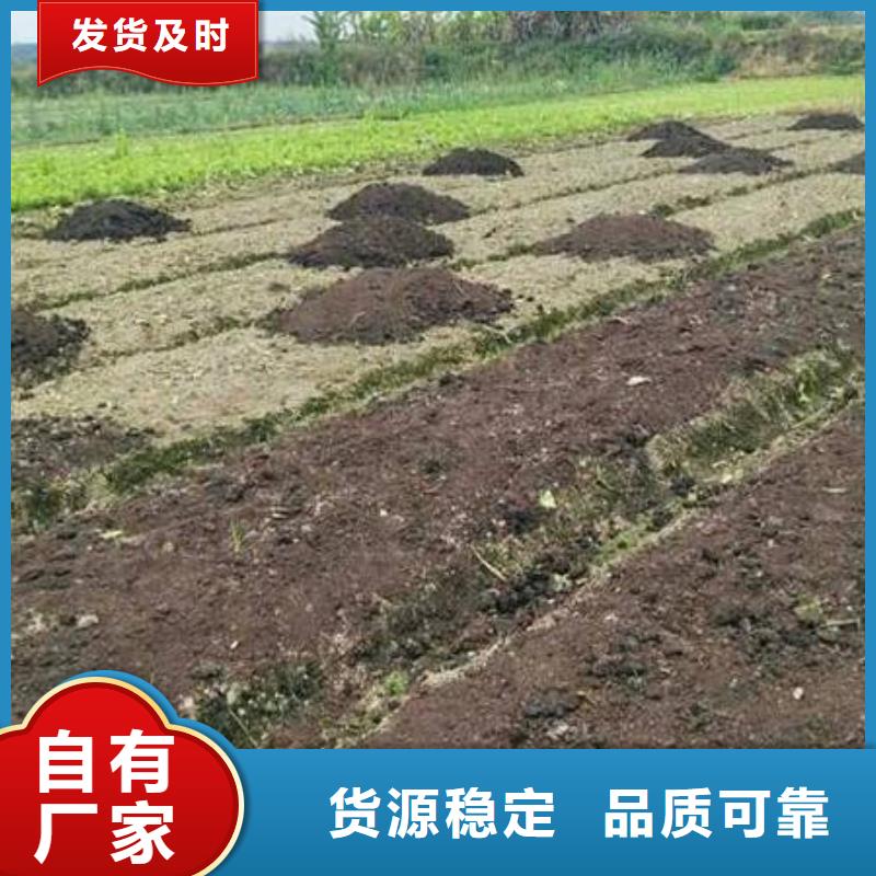 曬干雞糞平衡施肥