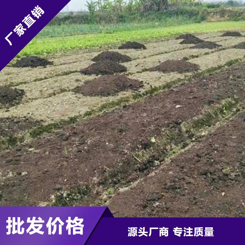 干雞糞熱賣