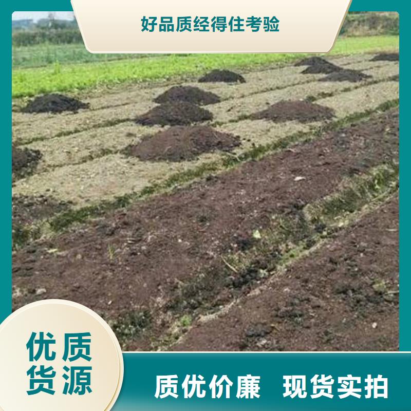 發(fā)酵雞糞改善土壤板結(jié)