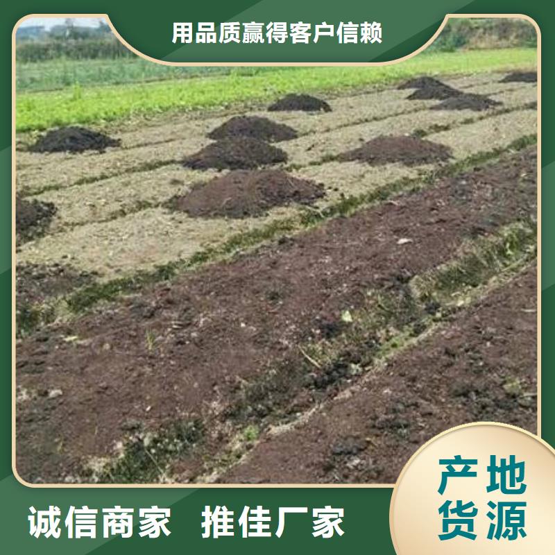定安縣稻殼雞糞多少錢一方
