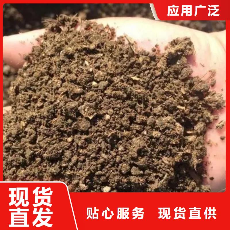 干雞糞塊廠商
