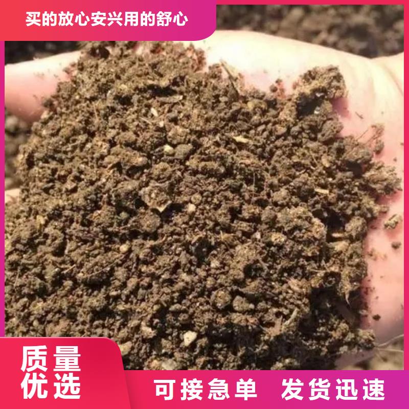 保亭縣發(fā)酵雞糞有貨