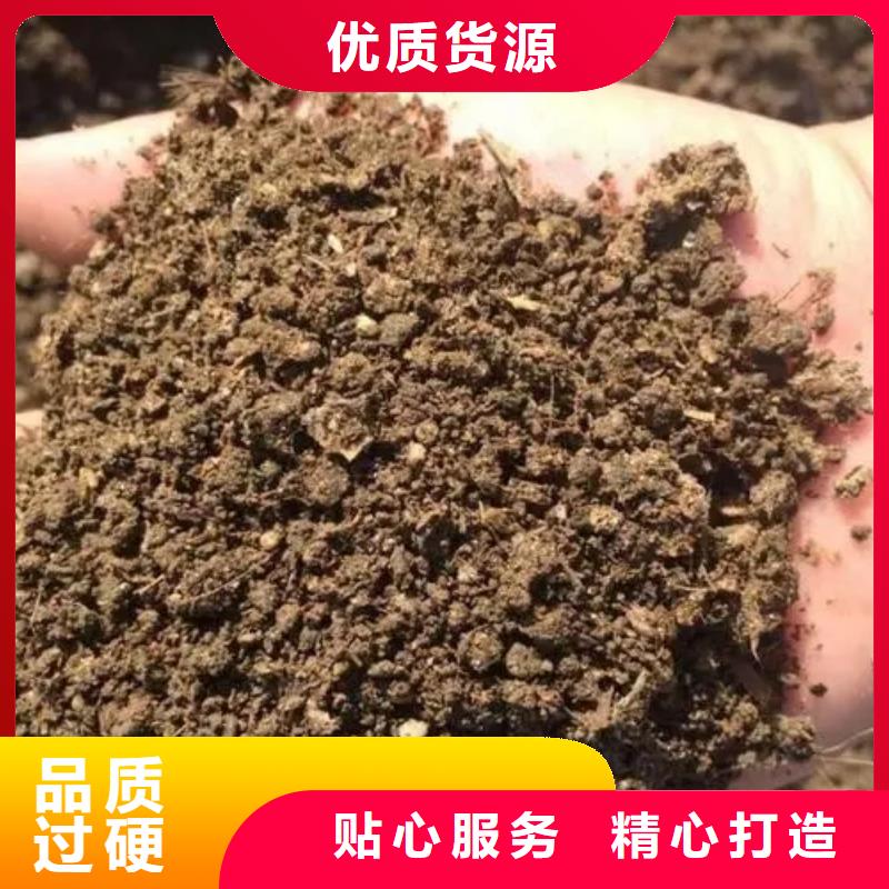 稻殼雞糞提高西瓜產(chǎn)量