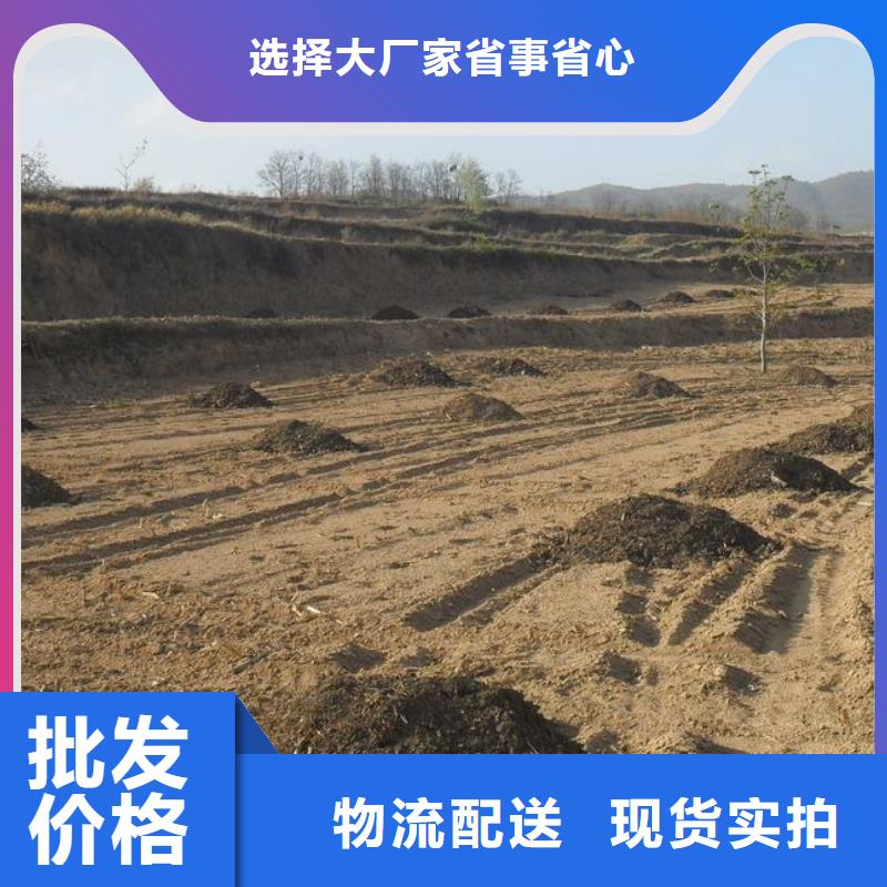 干鸡粪块呵护农田土壤