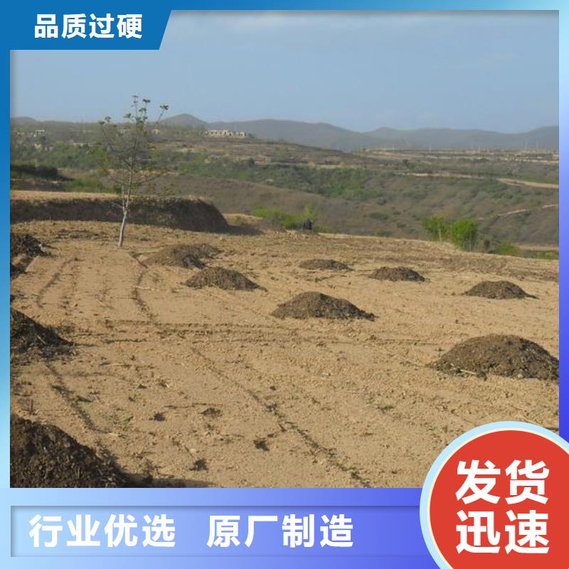 干鸡粪块呵护农田土壤