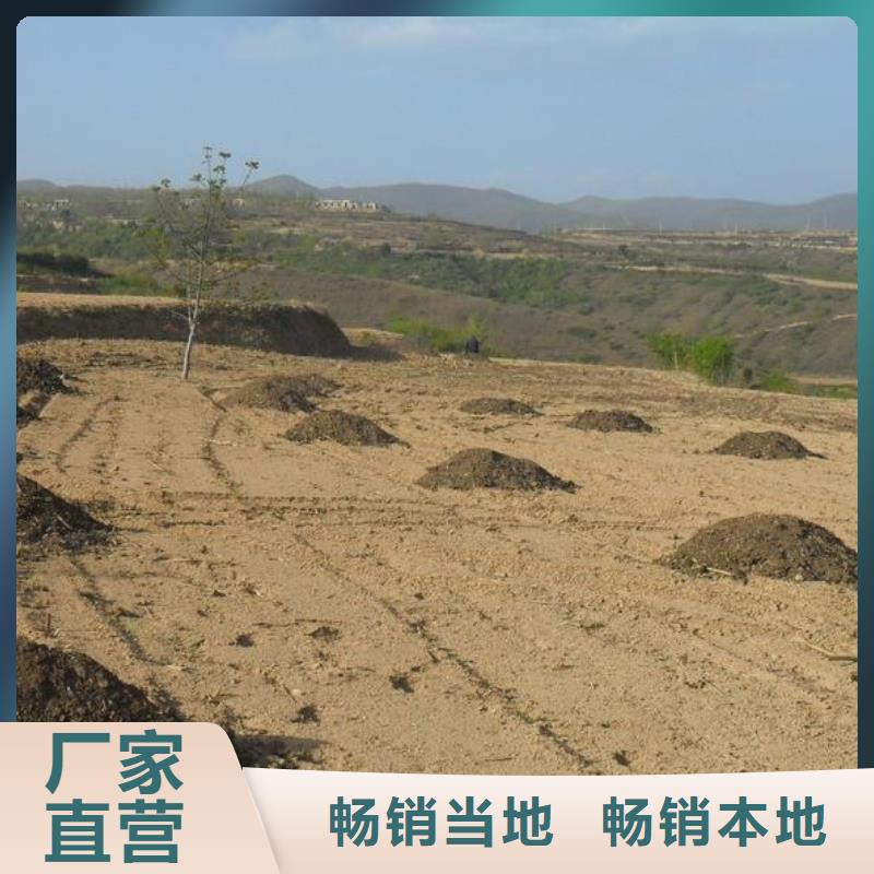 发酵鸡粪大葱亩产量