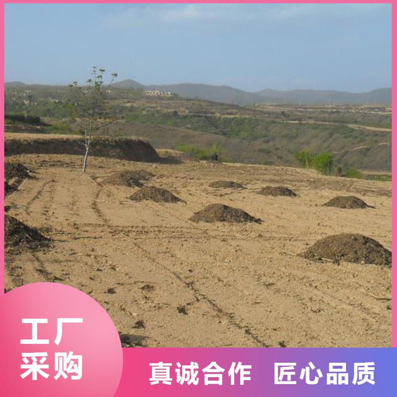 有机肥苗强苗壮