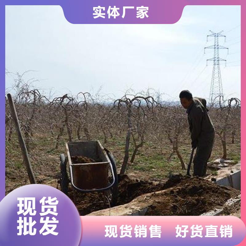 羊粪有机肥养分是多少
