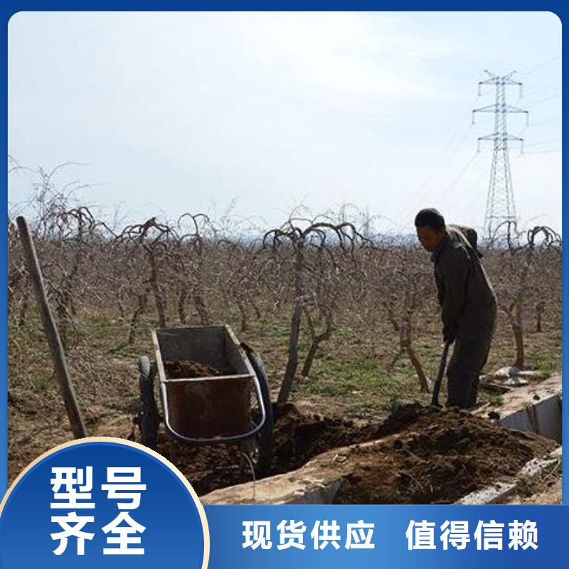 發(fā)酵雞糞土壤專家說好