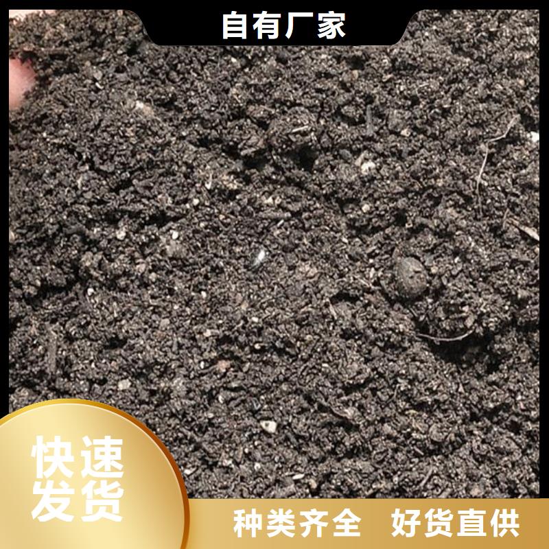 發(fā)酵羊糞塊均勻