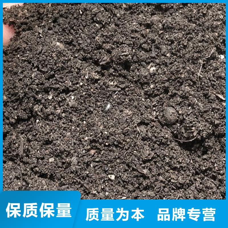 发酵鸡粪多少起订