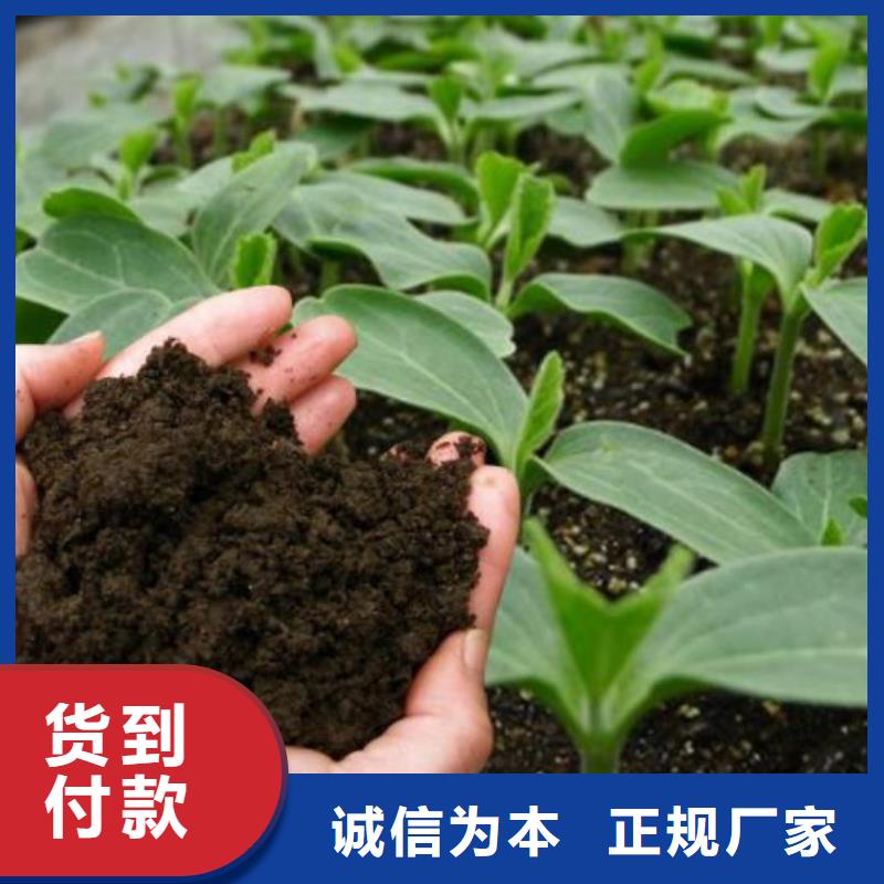 顆粒菌肥助力生態(tài)農(nóng)業(yè)