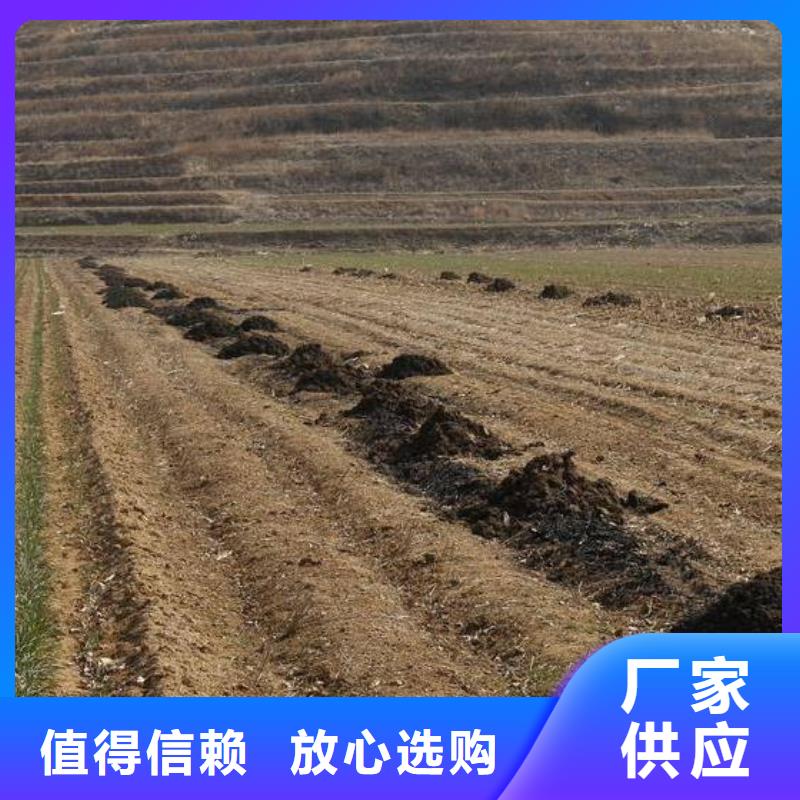 雞糞圖片
