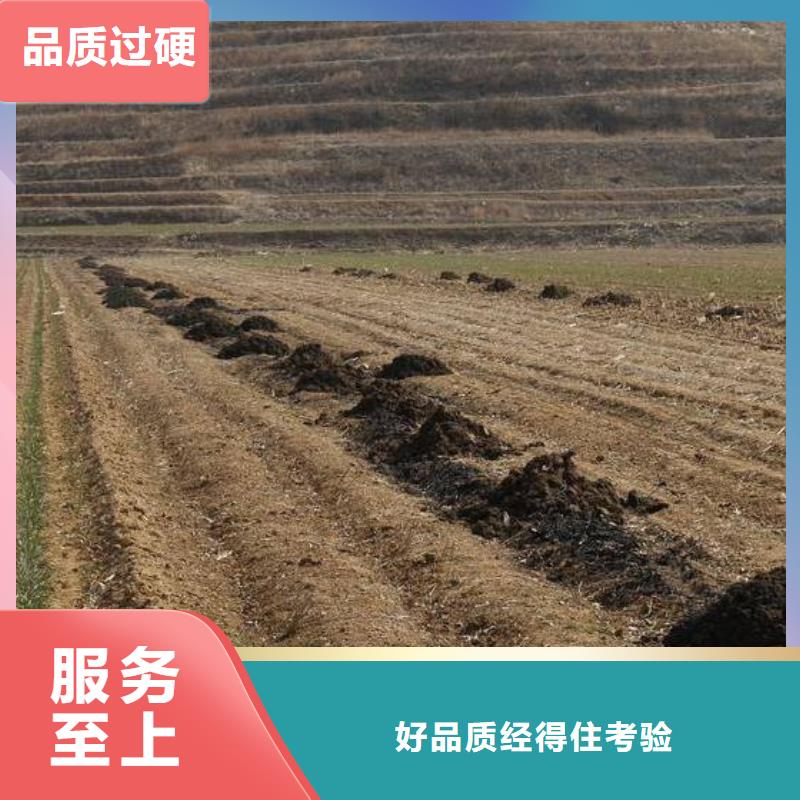 曬干雞糞葡萄樹能用嗎