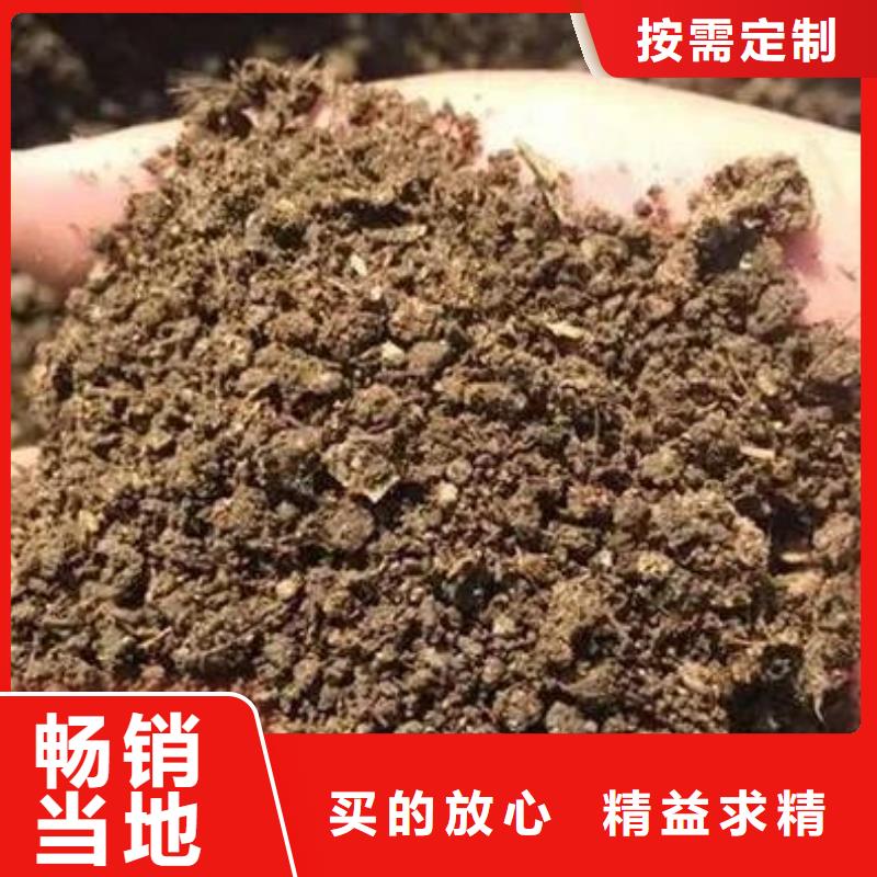 发酵羊粪增强土壤肥力