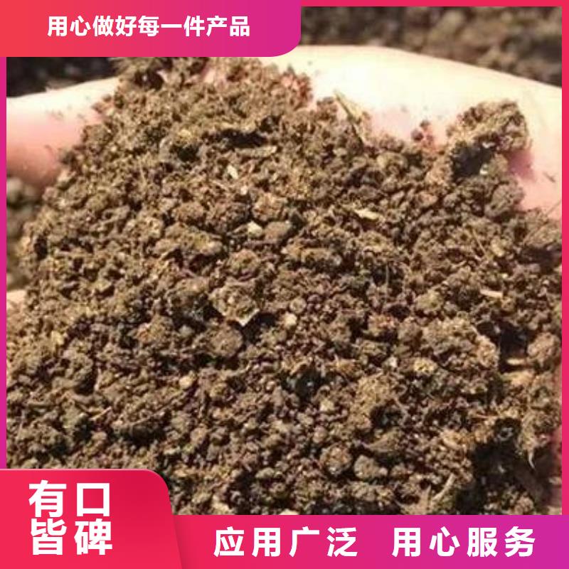 干雞糞什么價格