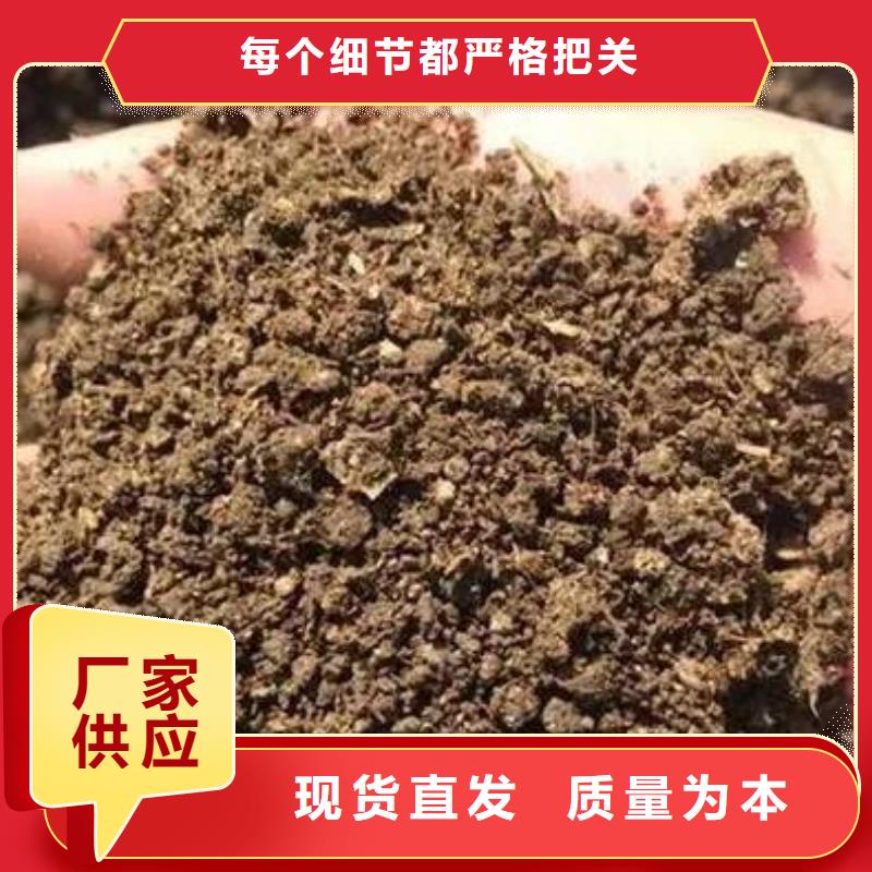 有機(jī)肥施肥沃農(nóng)田