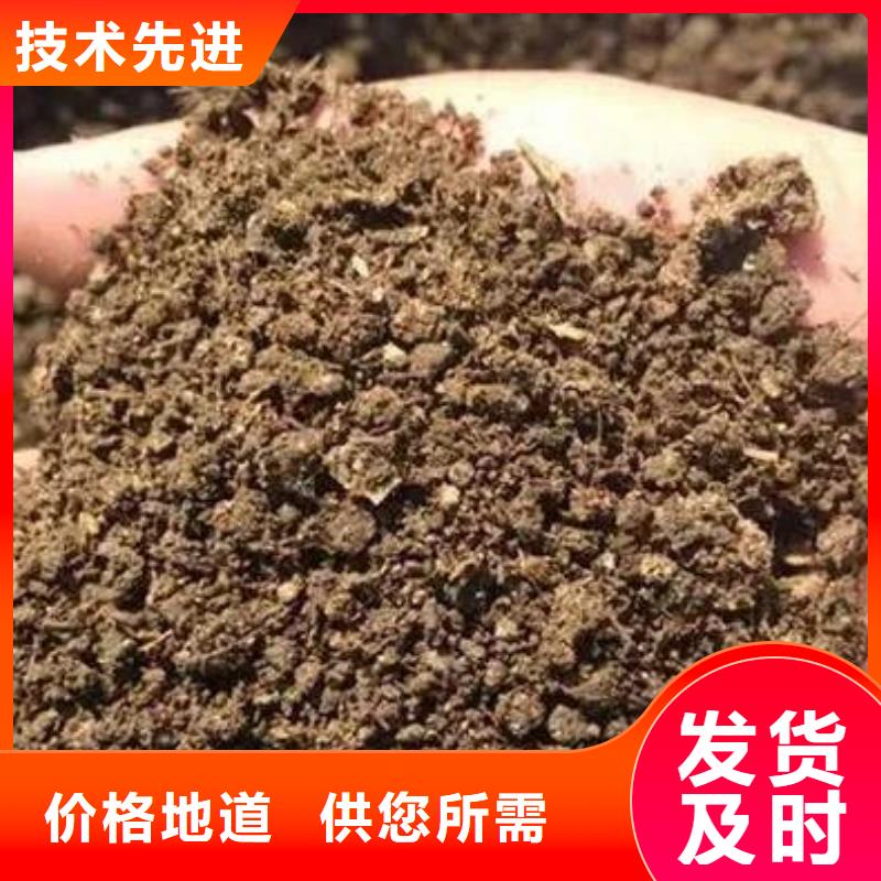 有机肥促进作物生长